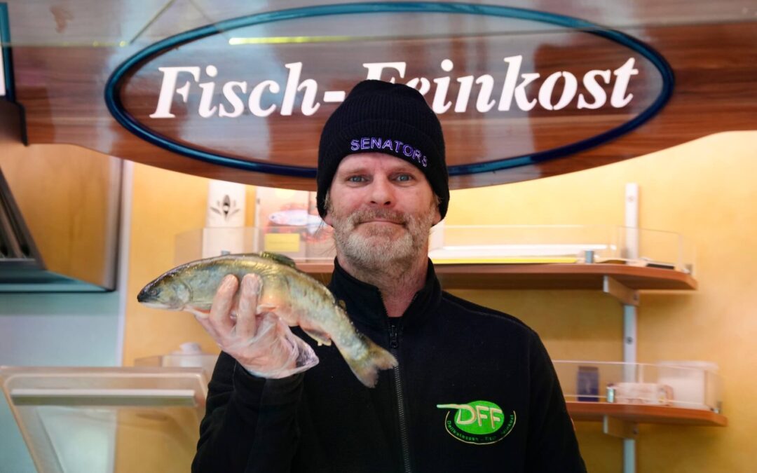 Richard’s Fische am Frischemarkt Groß-Enzersdorf